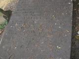 image of grave number 484057